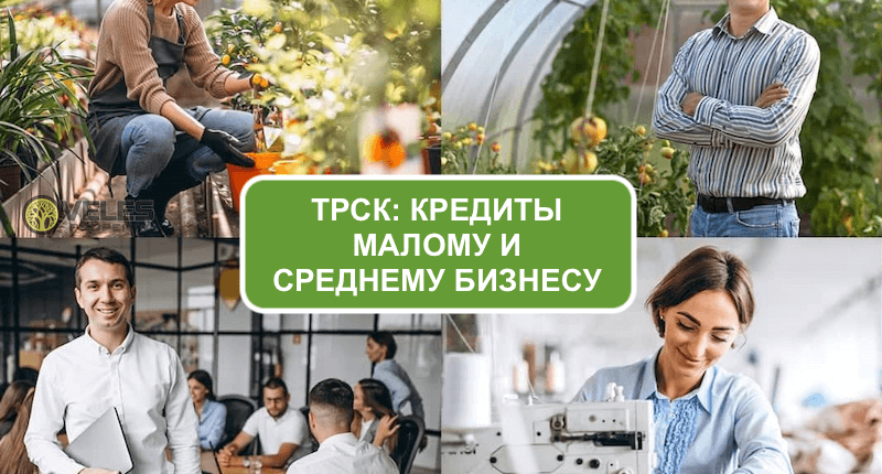 Кредиты малому и среднему бизнесу на Северном Кипре