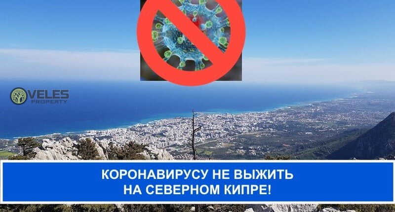 Коронавирусу не выжить на  Северном Кипре!