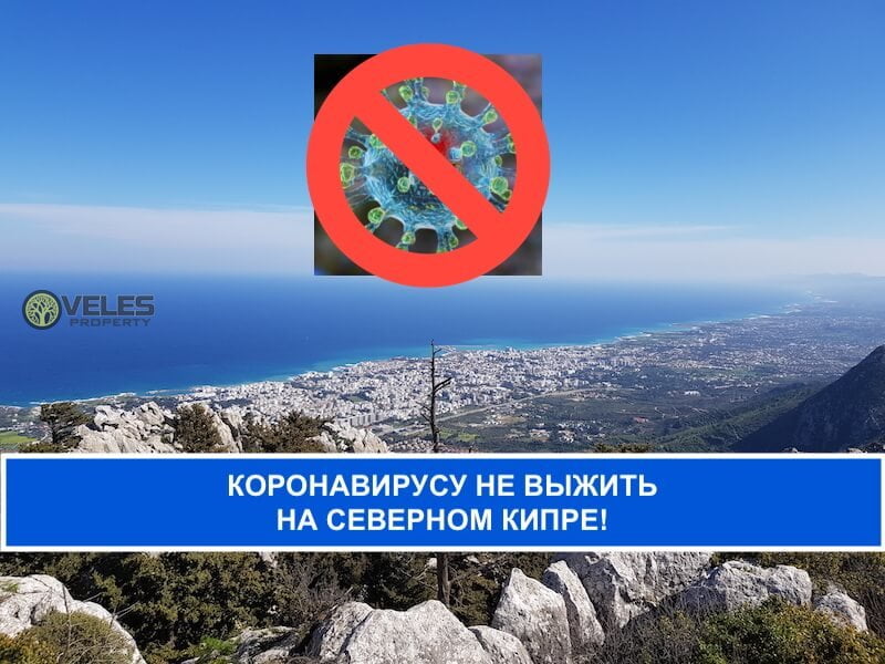Коронавирусу не выжить на Северном Кипре