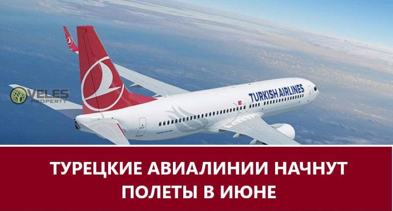 Турецкие авиалинии начнут авиаперелеты в июне 2020