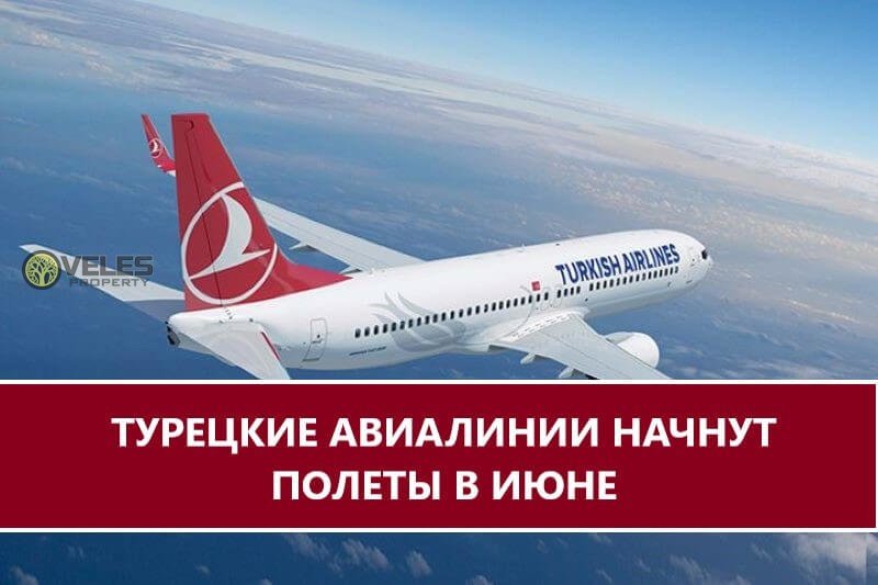 Турецкие авиалинии начнут авиаперелеты в июне