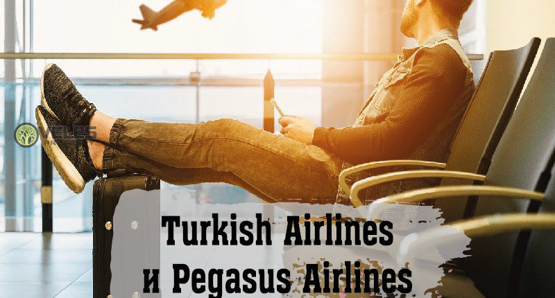 Turkish Airlines и Pegasus Airlines