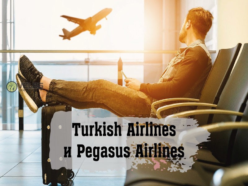 Turkish Airlines и Pegasus Airlines