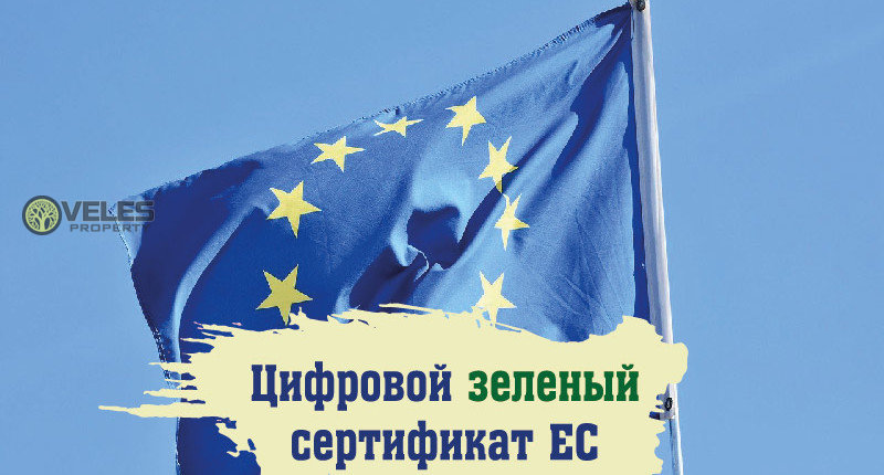 Цифровой зеленый сертификат Евросоюза