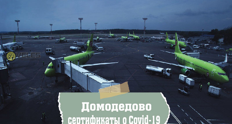 Домодедово сертификаты о Covid-19
