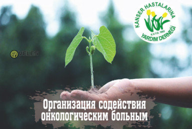 Организация содействия онкологическим больным