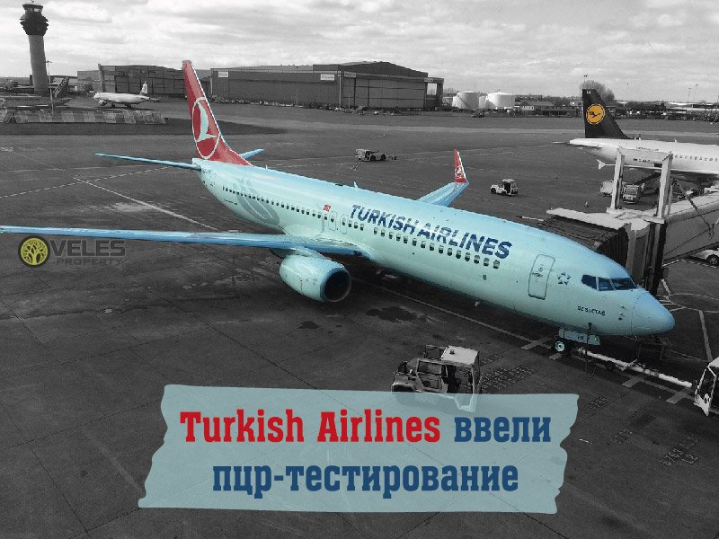 Turkish Airlines ввели пцр-тестирование