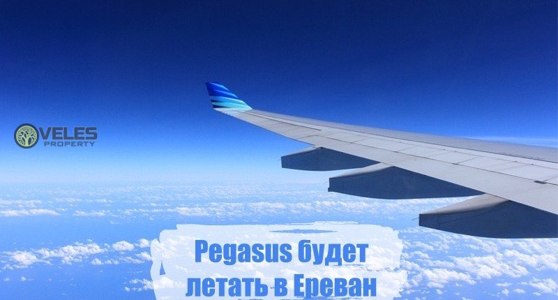 Pegasus будет летать в Ереван