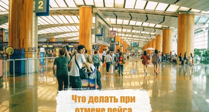 Что делать при отмене рейса