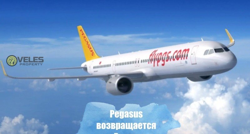 Pegasus возвращается в Россию