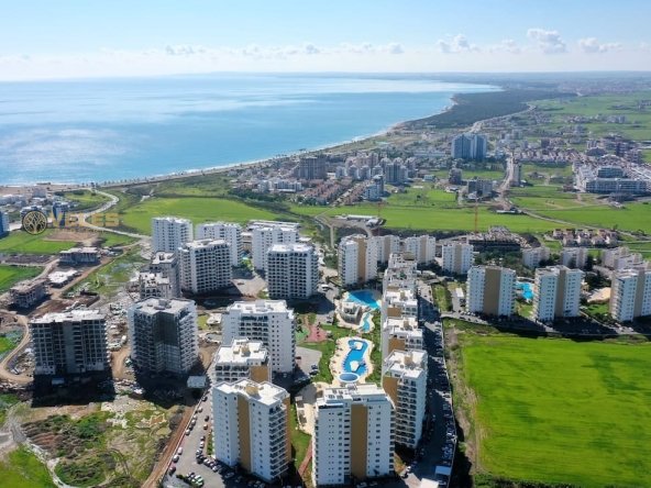 SA-0105 Студия 0+1 в Искеле, Veles