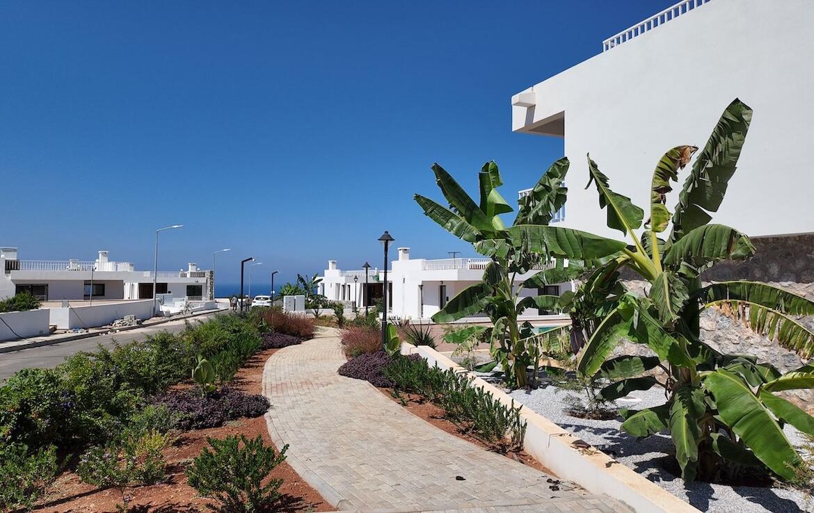 Двухкомнатное бунгало в комплексе Green&Blue