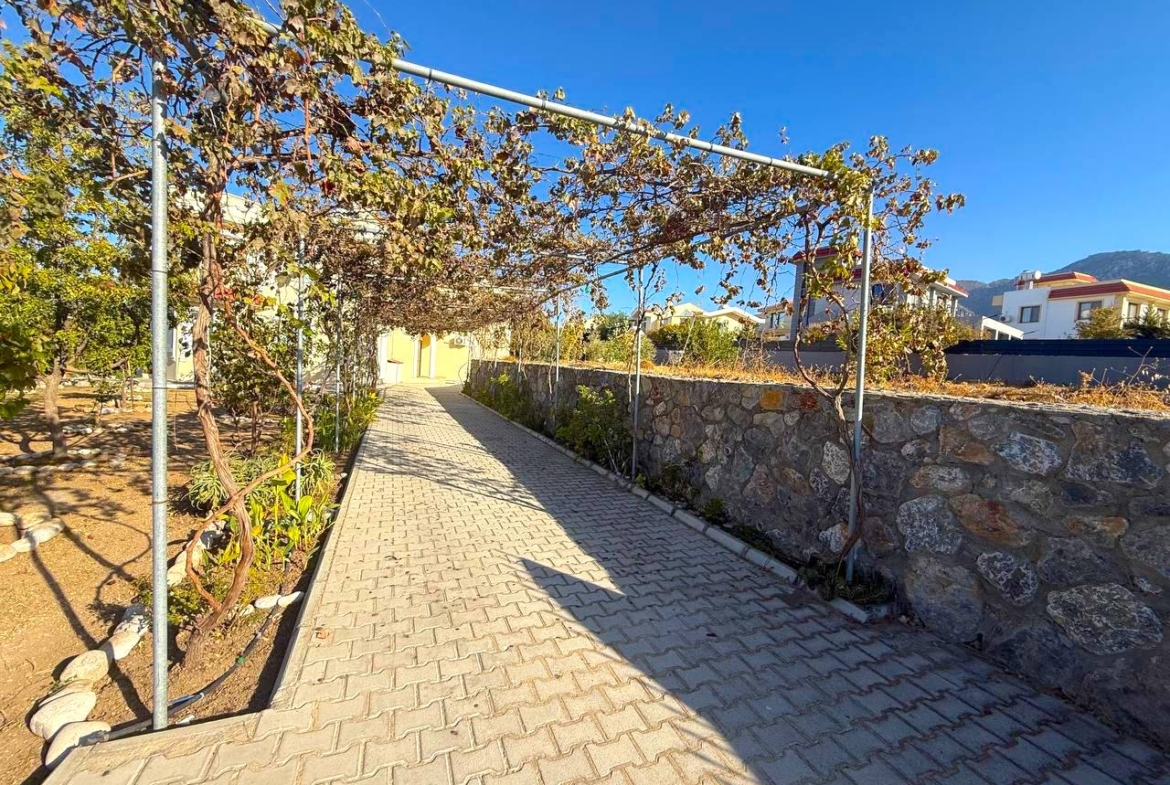 Аренда просторной виллы 4+1 в Алсанджаке